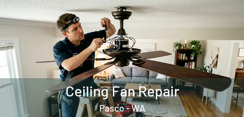 Ceiling Fan Repair Pasco - WA