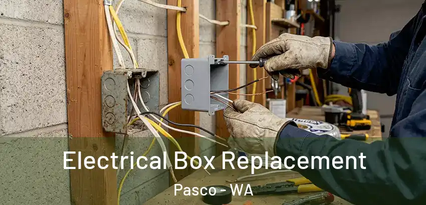 Electrical Box Replacement Pasco - WA